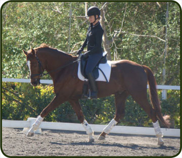 Lionheart Ranch proudly offers training with Bethany Bernatsky